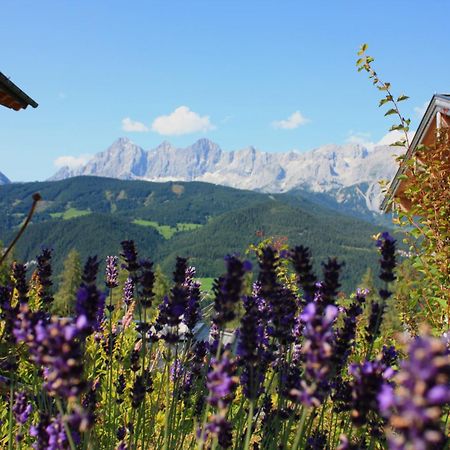 Alpine-Lodge Schladming Room photo