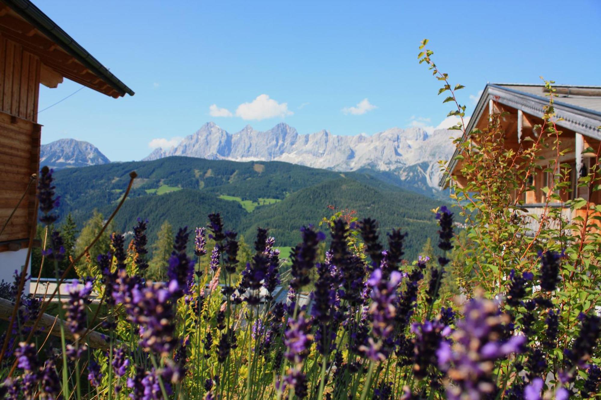 Alpine-Lodge Schladming Room photo